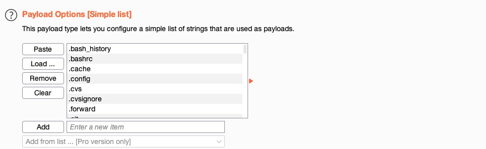 payload options